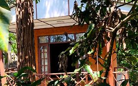 The Nirwana Cottage